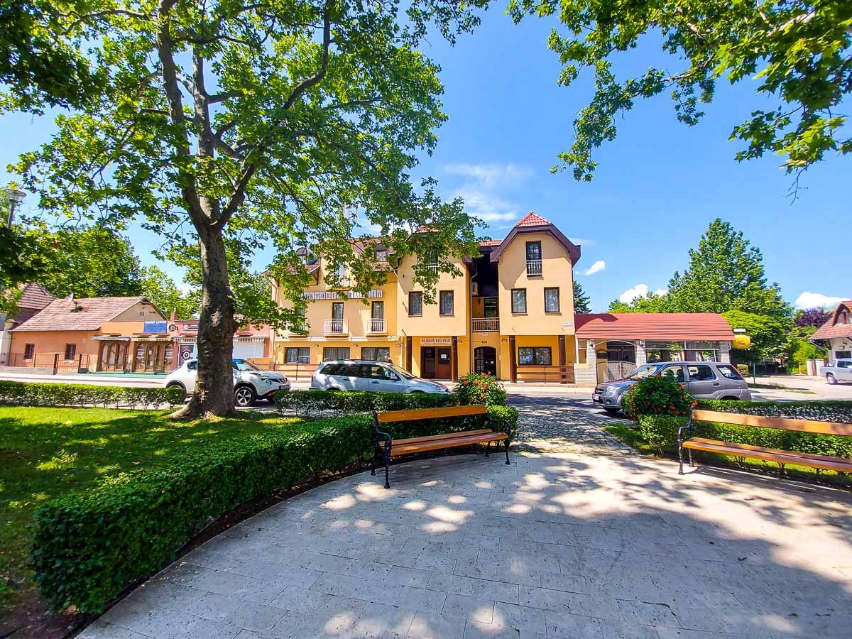 Vikt&oacute;ria Panzi&oacute; 