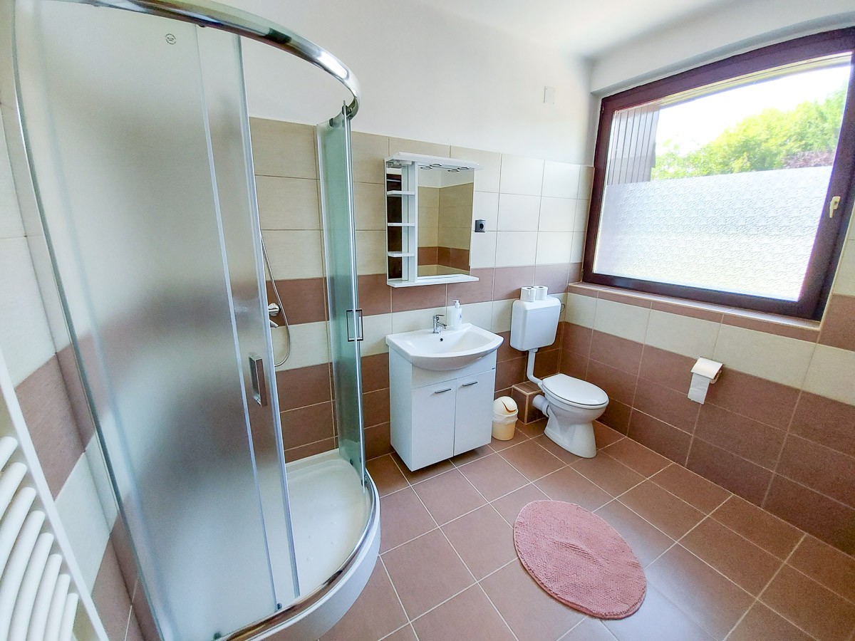 Vikt&oacute;ria Panzi&oacute; 